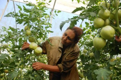 Alimentar el mundo, cuidar el planeta