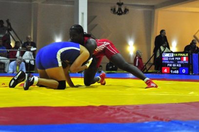 Estornell de plata en Bakú