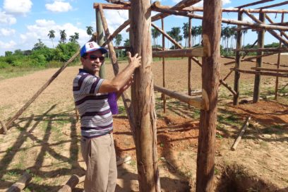Innovación para el mejor tabaco del mundo