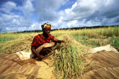 Otra lectura a la Cumbre de Roma