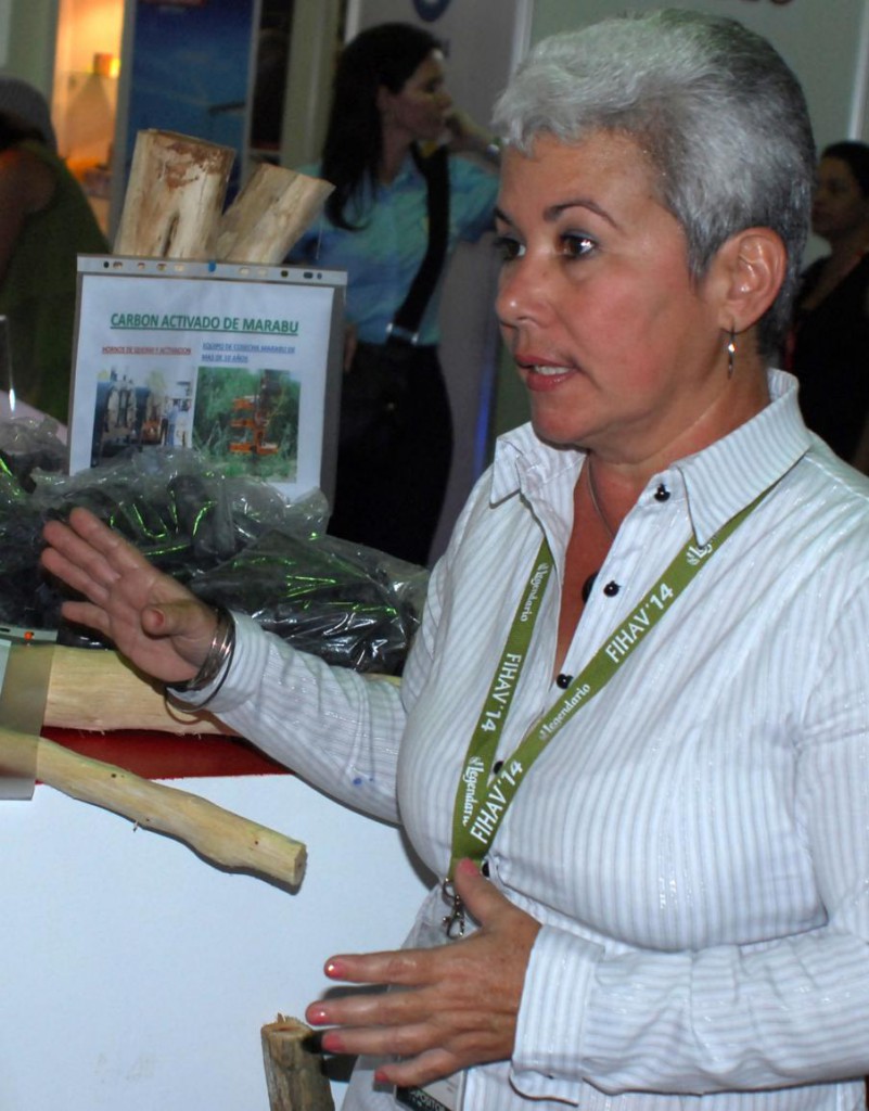 Carmen Taboada Hernández, vicepresidenta de Biopower