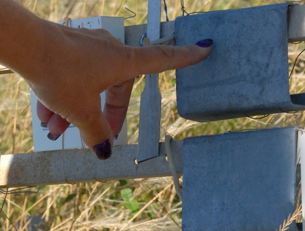 En el área exterior de Labet se exponen productos a la intemperie, para determinar su resistencia al medio ambiente. Foto: Heriberto González Brito