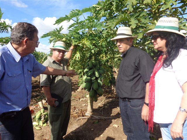 En el INIVIT recorrió las áreas donde se cultivan nuevas variedades de cultivos.