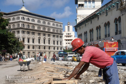 Una ciudad nacida bajo la sombra de un árbol