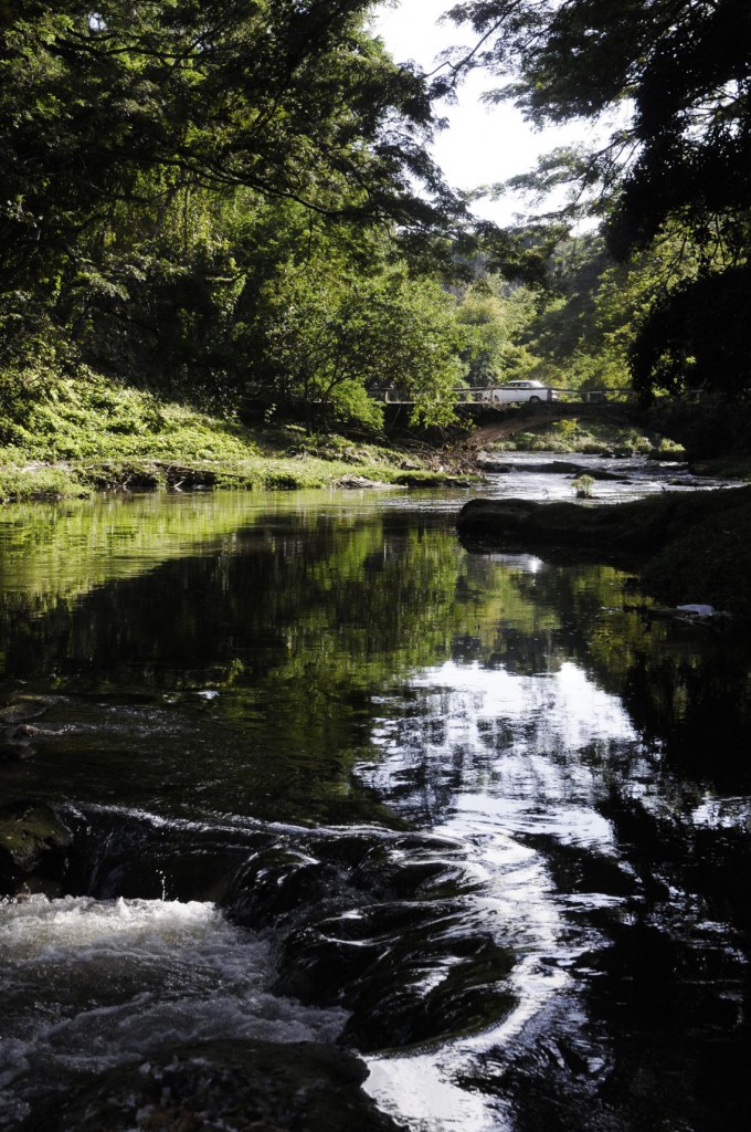 Río Almendares Foto: René Pérez Massola