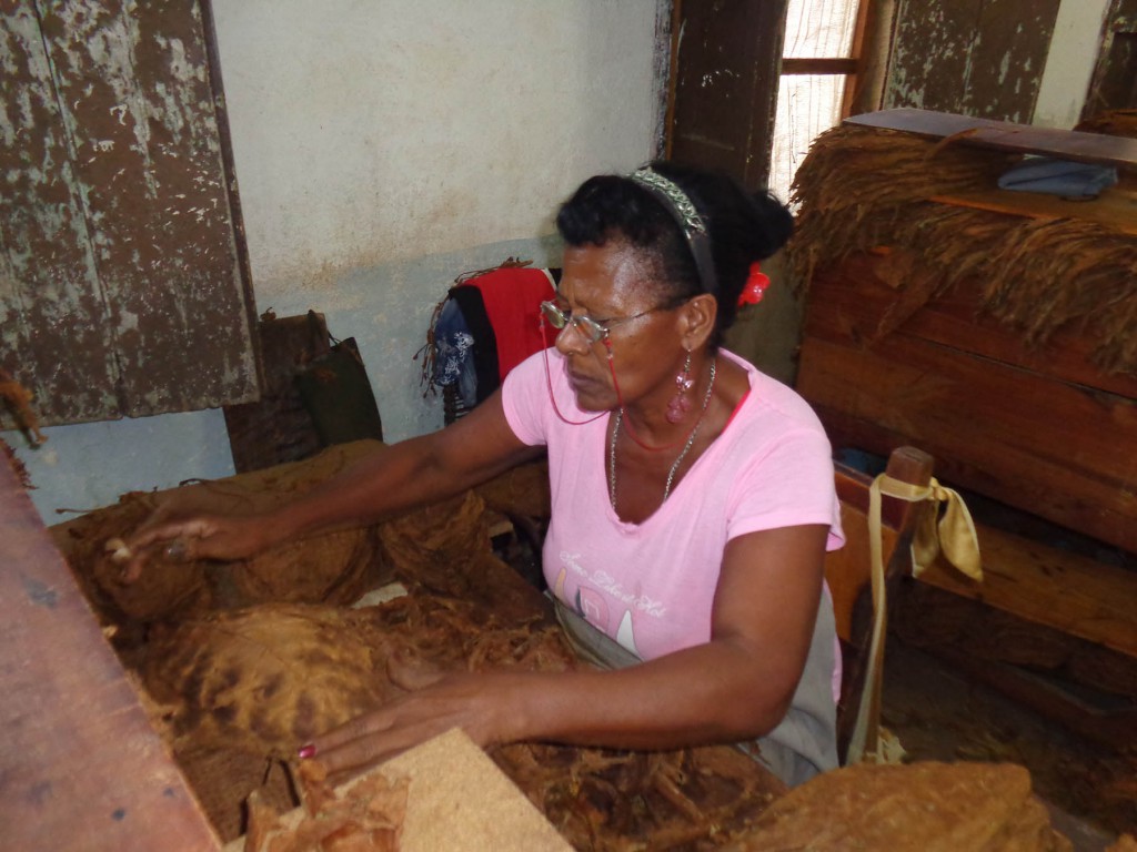 Inés Martínez Miranda, heroína del trabajo de la República de Cuba cuenta que “la gente quiere ganar más y si las dejas siguen trabajando más”