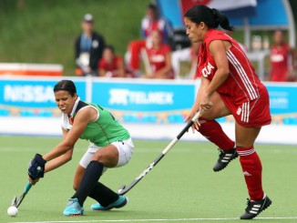 Hockey (F) camina tranquilo