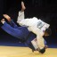 El judo sumó trece preseas doradas a la cosecha de la delegación cubana en Veracruz 2014.