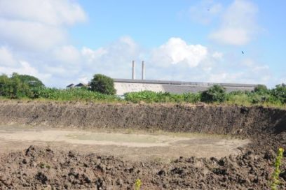 Uruguay apostará por el ambiente en la próxima zafra