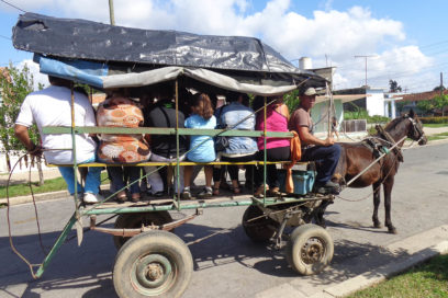 Lona verde ¿dónde estás?