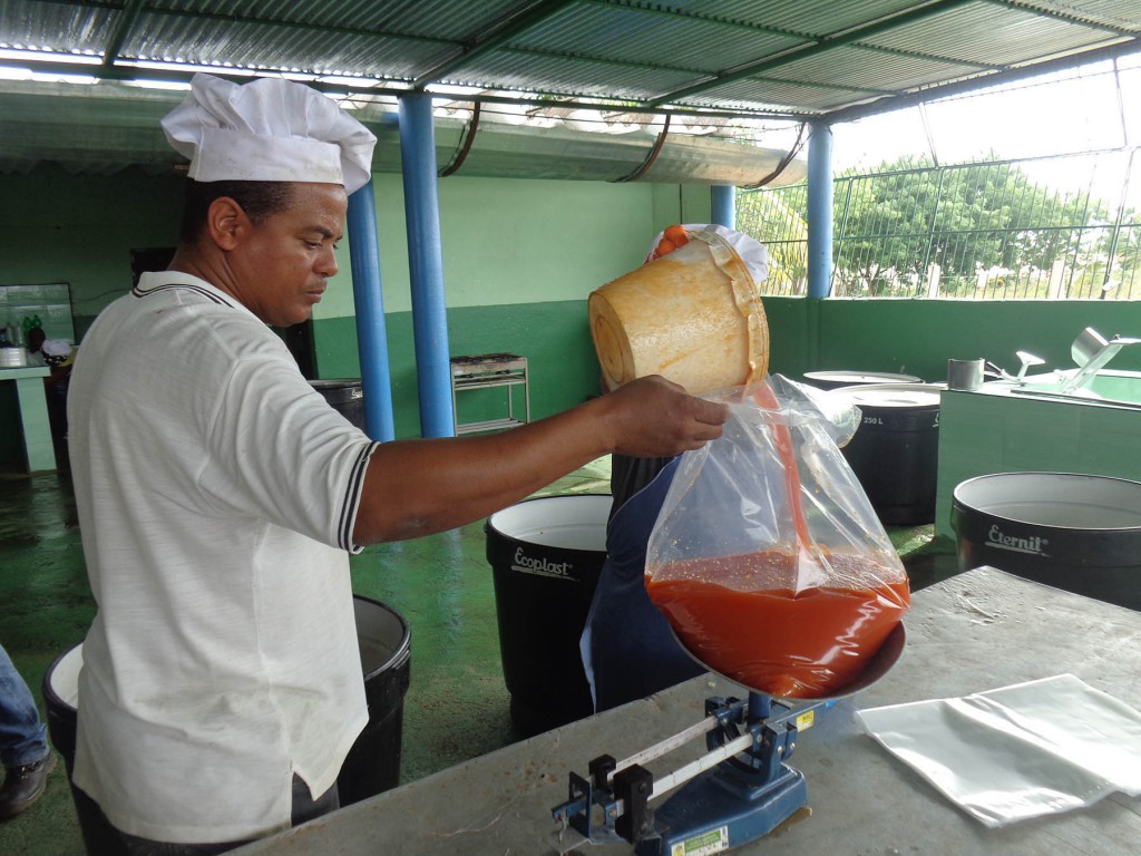 Con la pequeña mini-industria se obtienen jugos, dulces y pulpa de diversas frutas. 