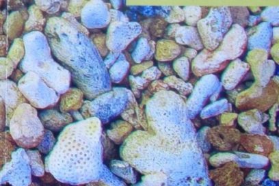 Podemos mentirle al placer