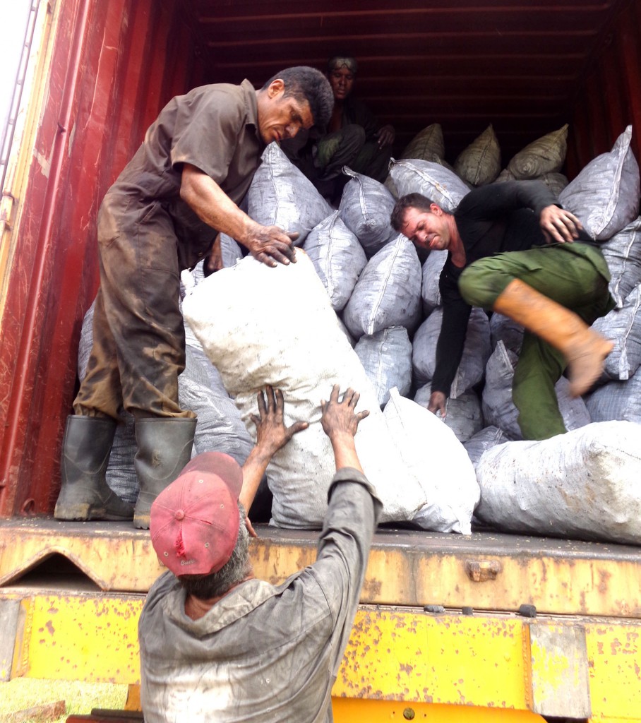 La producción y venta de carbón vegetal ha posibilitado liberar tierras cubiertas de marabú que hoy son muy productivas.