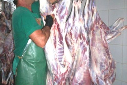 Crece comercialización de carne ovina en Las Tunas