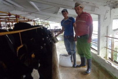 Vuelve a ser linda Niña Bonita