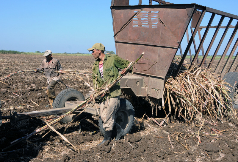 Foto: Orlando Durán Hernández.