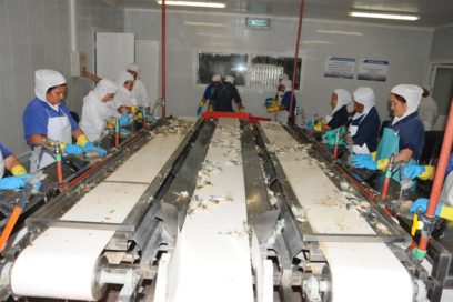 Industria pesquera espirituana con el visto bueno de especialistas europeos