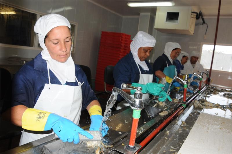 Entre las entidades espirituanas inspeccionadas estuvieron EPISAN, la camaronera CULTIZAZA y la Apicultura. Foto: Vicente Brito.