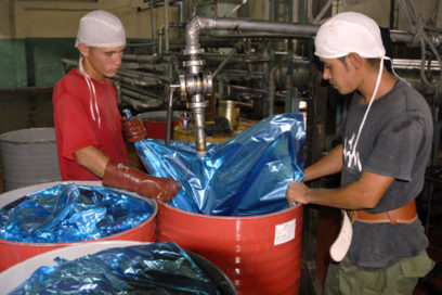 Union’s Recognition to the Young Workers