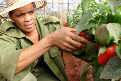 La objetividad en primera línea