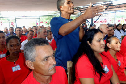 Arroz “despajado” en el plenario