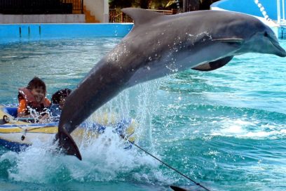 Festejo en el mundo marítimo cubano