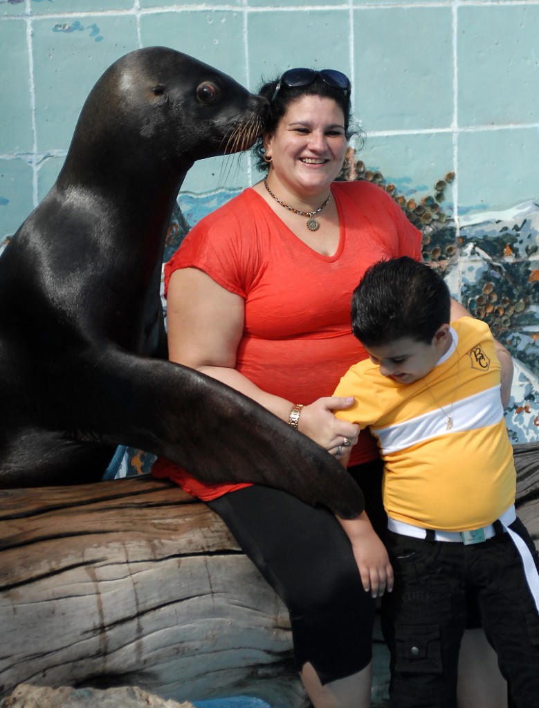 El público puede interactuar con las especies, incluso alimentar a los lobos marinos desde la rocalla. 