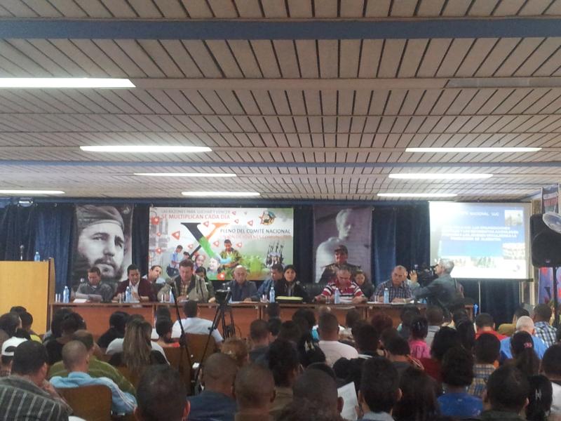 Foto: Daniela Oliva Valdés.