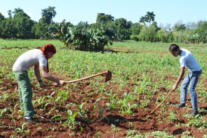 La ruta de la especialización
