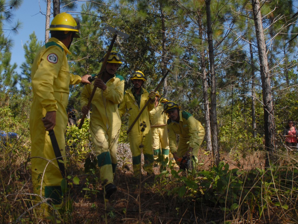 Existe una alta preparación para enfrentar los incendios forestales. Foto: Agustín Borrego