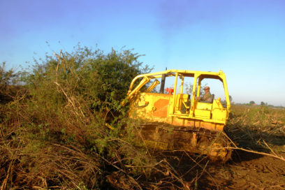 Análisis sindical destaca insuficiencias en zafra azucarera de Cienfuegos