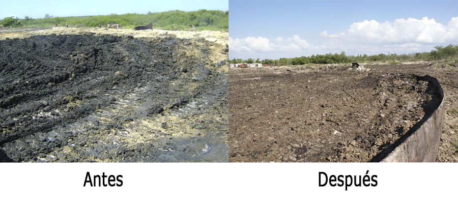 “Hubo un antes y un después del tratamiento de biorremedación en Punta Majagua, Cienfuegos”.