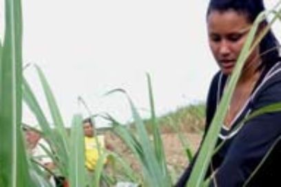 La caña, y los bolsillos, engordan en  Diego Felipe