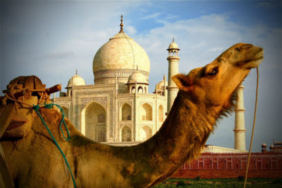 India: a los pies de sus encantos