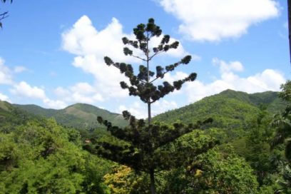 Declaran nueva altura máxima en Pinar del Río