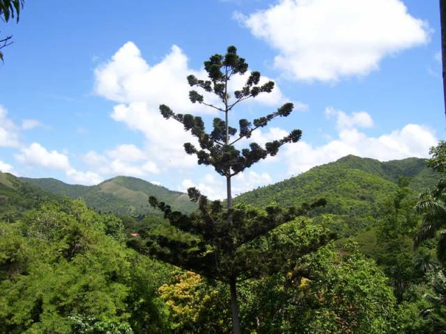 loma del seboruco