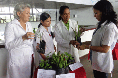 Natural and Traditional Treatments It Is Not An Alternative