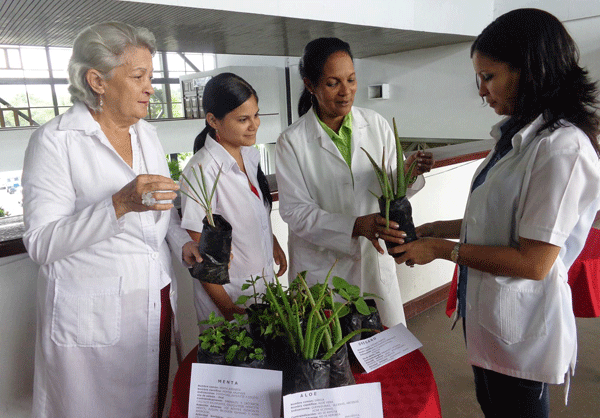 Las doctoras Liliam y Caridad estimulan a residentes de la especialidad de MNT al reconocimiento de especies botánicas medicinales. Foto: De la autora