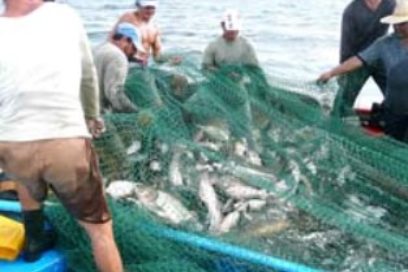 La pesca de agua dulce en Camagüey mejora capturas