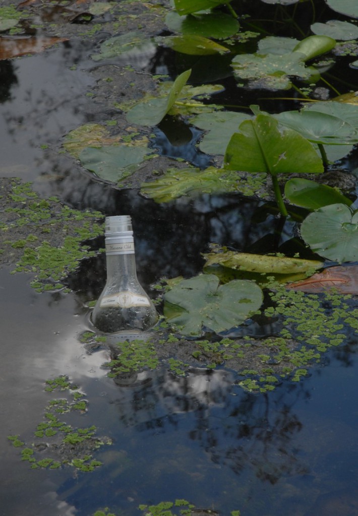 Foto: Agustín Borrego