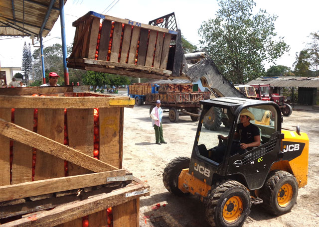 Un montacargas prestado salvaba de forma momentánea la continuidad de la producción el día 12 del presente mes. (Foto: Martínez Alejo)