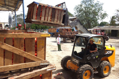 Problemas con el tomate