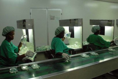 Buscar la propia medicina