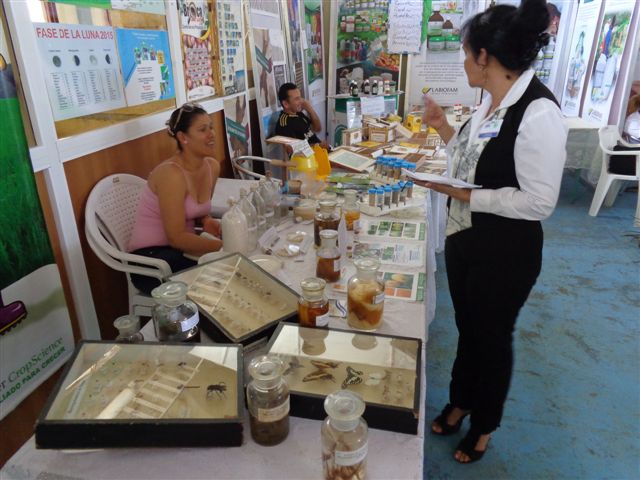 La exposición recogió avances en la diferentes ramas de la economía y los servicios