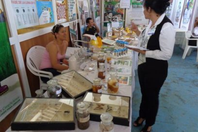 Una muestra de la obra de la Revolución