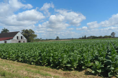 Tierras en usufructo: varios años después