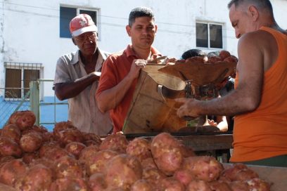 Venta de papa en la capital: Un soplo de aire fresco
