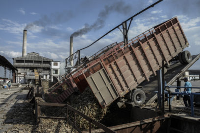 El llamado del coloso