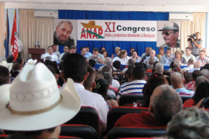 En la ganadería falta voluntad