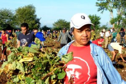 Reconocen labor de las mujeres cubanas